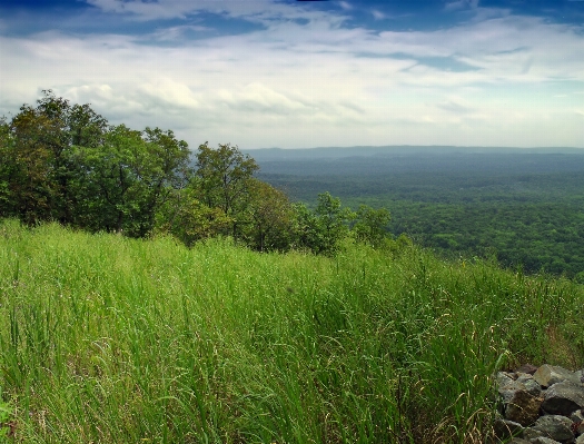 Foto Paisaje árbol naturaleza bosque