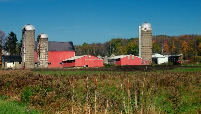 Farm building transport rural Photo