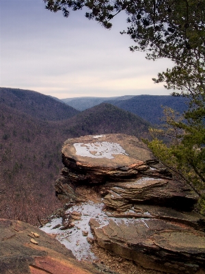 Landscape tree nature rock Photo