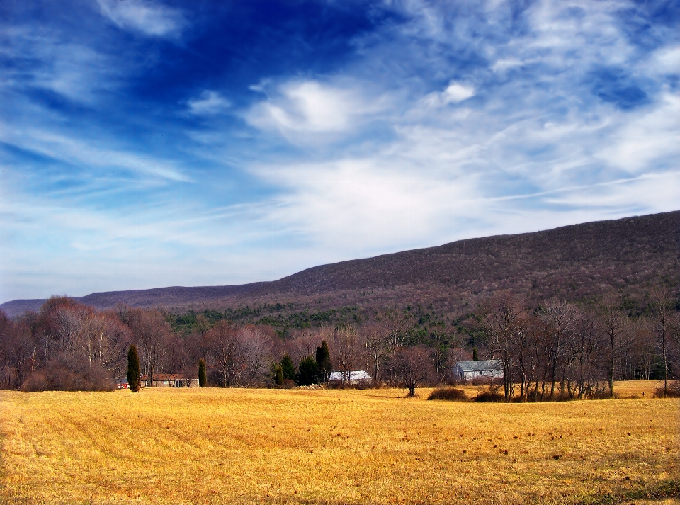 Paisaje árbol naturaleza horizonte