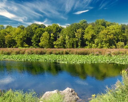 Landscape tree water nature Photo