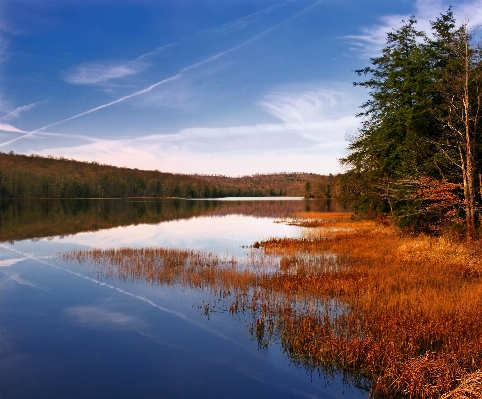 Landscape tree water nature Photo