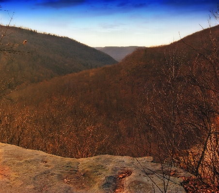 風景 木 自然 rock 写真