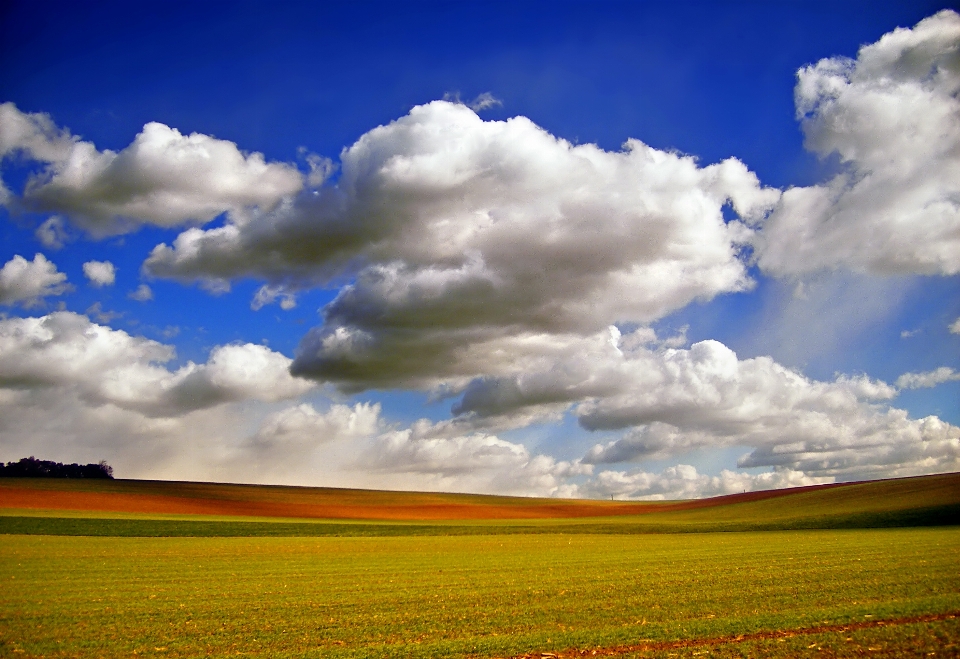 Landschaft natur gras horizont