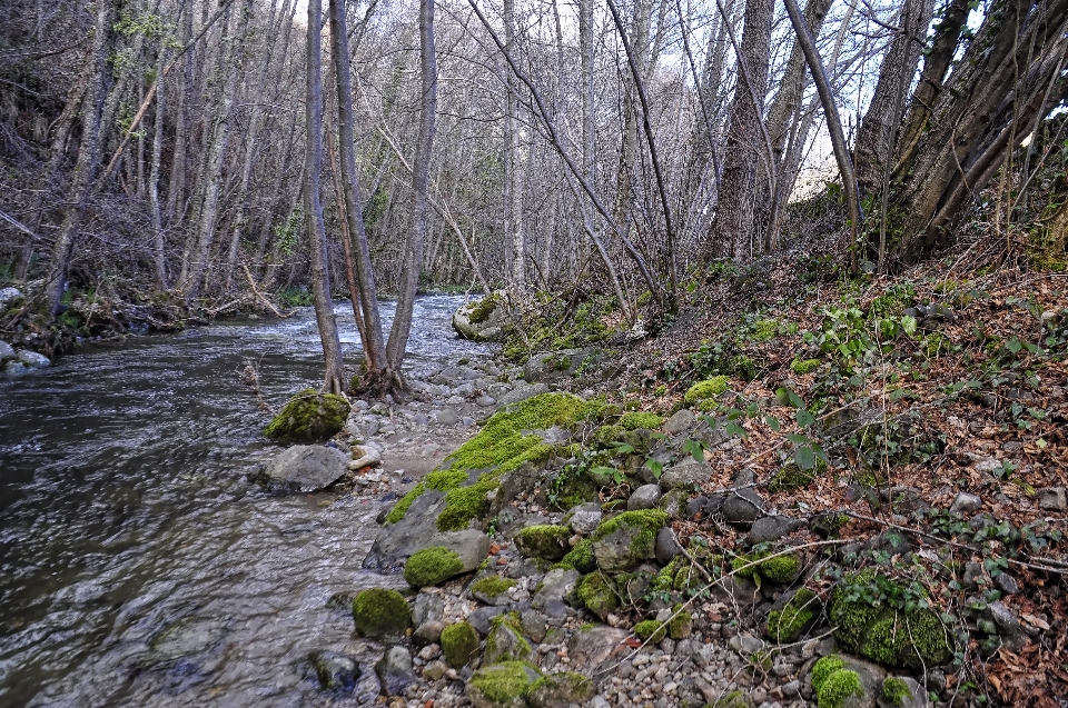 Natura las zatoczka
 pustynia
