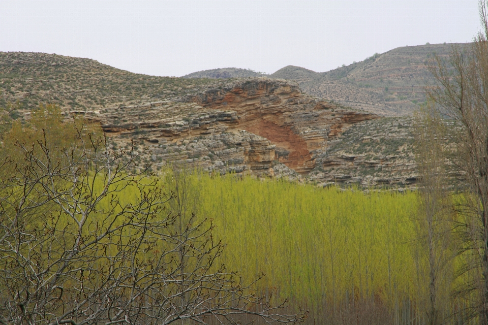 Paisagem região selvagem
 montanha prado
