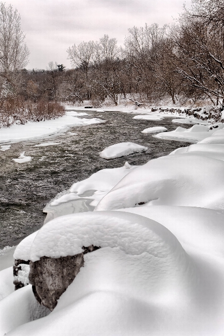 Paisagem árvore água neve