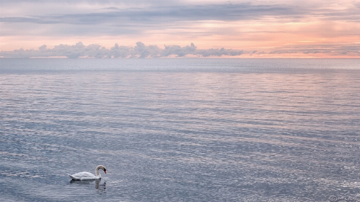 Beach sea coast water Photo