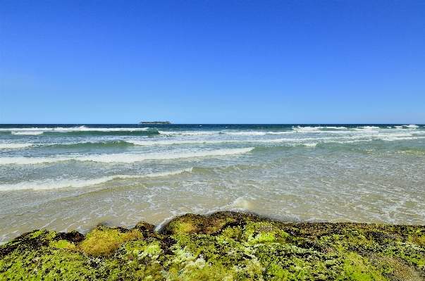 Beach sea coast sand Photo