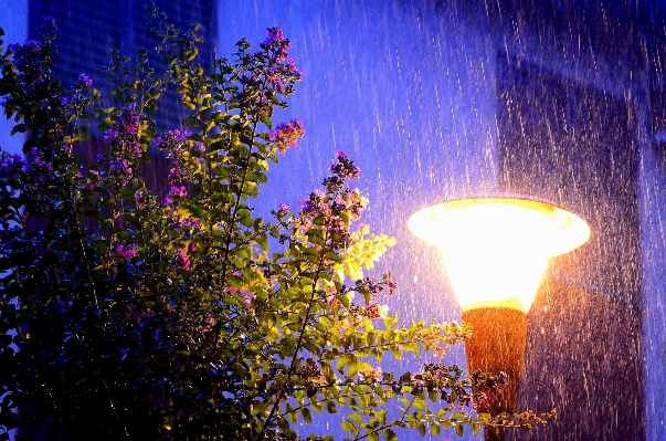 Light night sunlight rain Photo