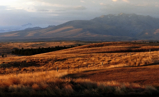 Foto Paisagem árvore natureza horizonte