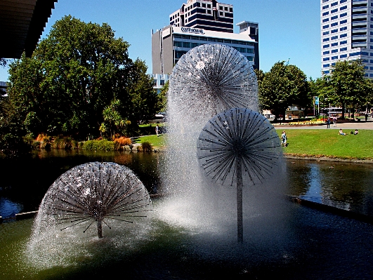 Tree water architecture reflection Photo