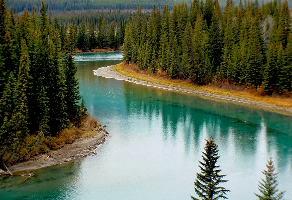 Landscape tree water nature Photo