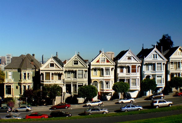 Tree architecture house town Photo