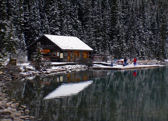 Tree water snow winter Photo