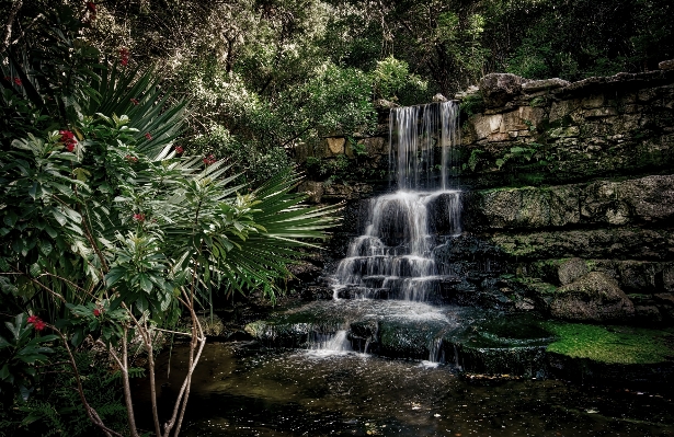 Tree water nature forest Photo