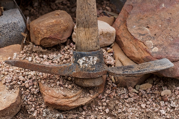 Wood tool soil reptile Photo