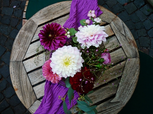 テーブル 植物 白 花 写真