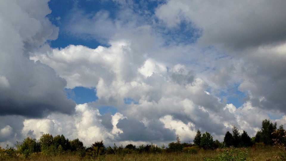 Naturaleza nube cielo campo