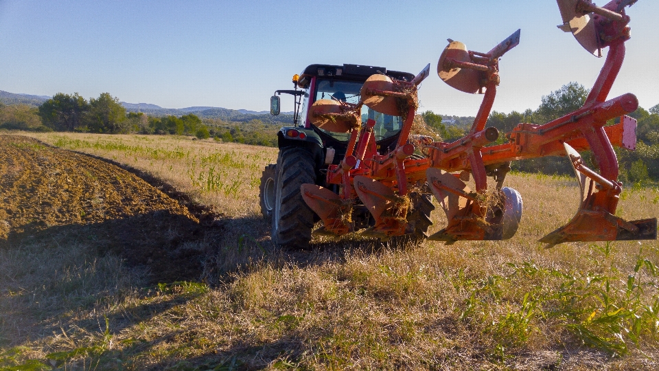 Tracteur champ cultiver véhicule