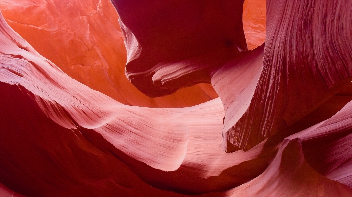 Rock abstract plant photography Photo