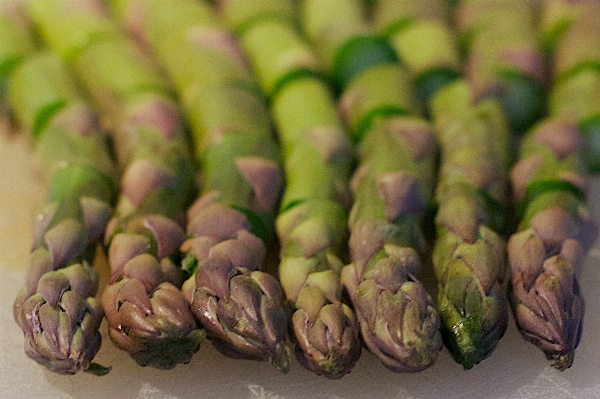 食べ物 野菜 生産 植物 写真