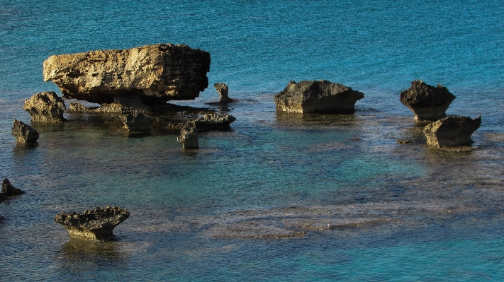 Beach sea coast nature Photo