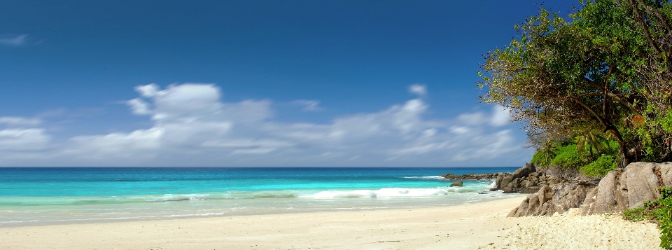 Beach sea coast water