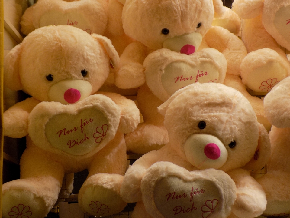 Toy teddy bear textile children