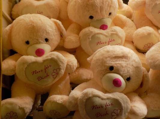 Toy teddy bear textile children Photo