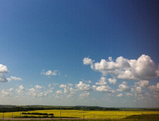 Landscape grass horizon cloud Photo