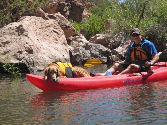 Boat river canoe paddle Photo