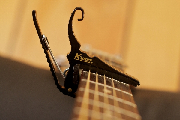 Guitar plucked string instruments instrument close up Photo