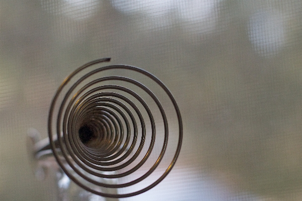 Light wood spiral glass Photo