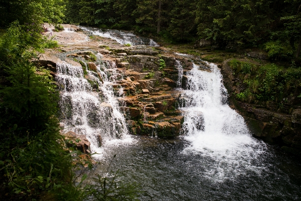 Landscape water nature forest Photo