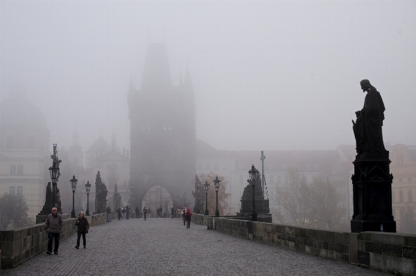 Snow winter architecture fog Photo