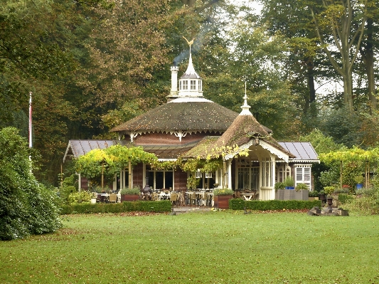 Landscape tree farm lawn Photo