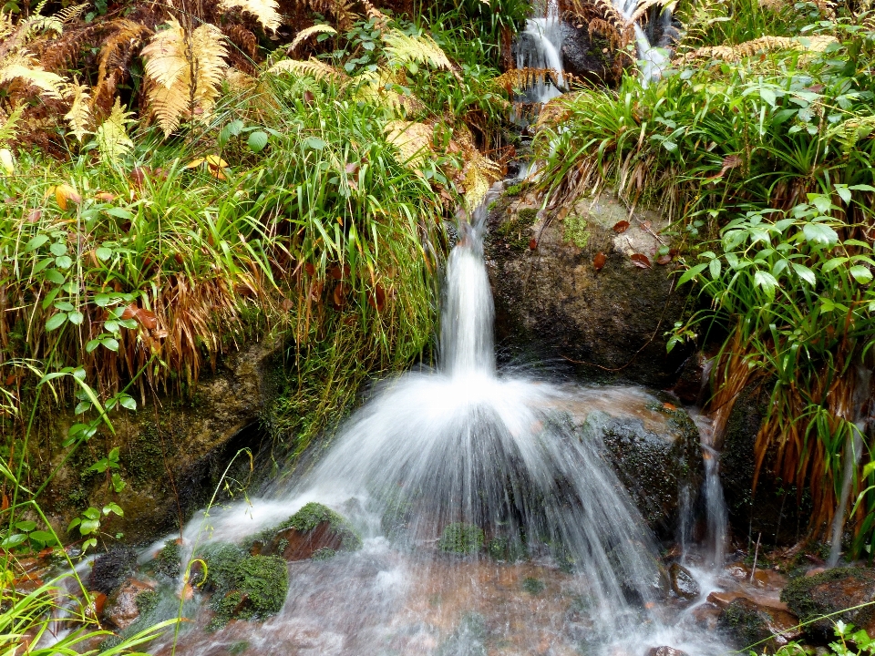 Paisaje agua bosque cascada