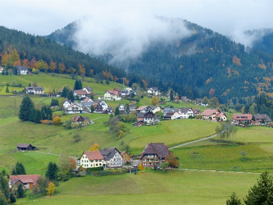 Landscape forest mountain hiking Photo