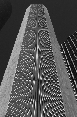 Photo Aile lumière noir et blanc
 architecture