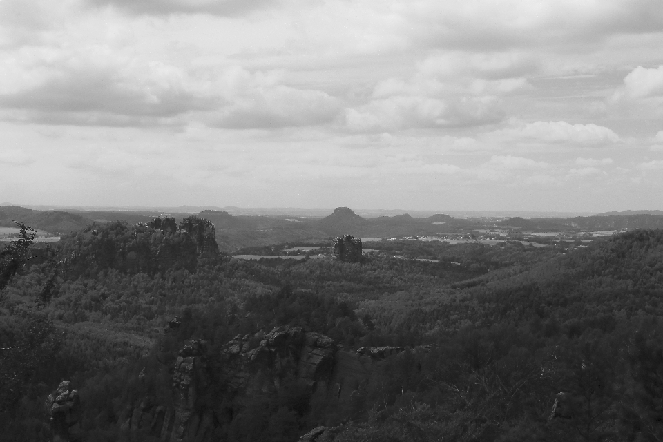 Landscape forest rock horizon