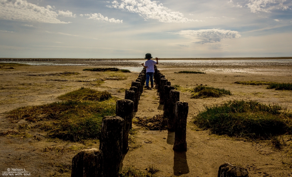 Beach landscape sea coast