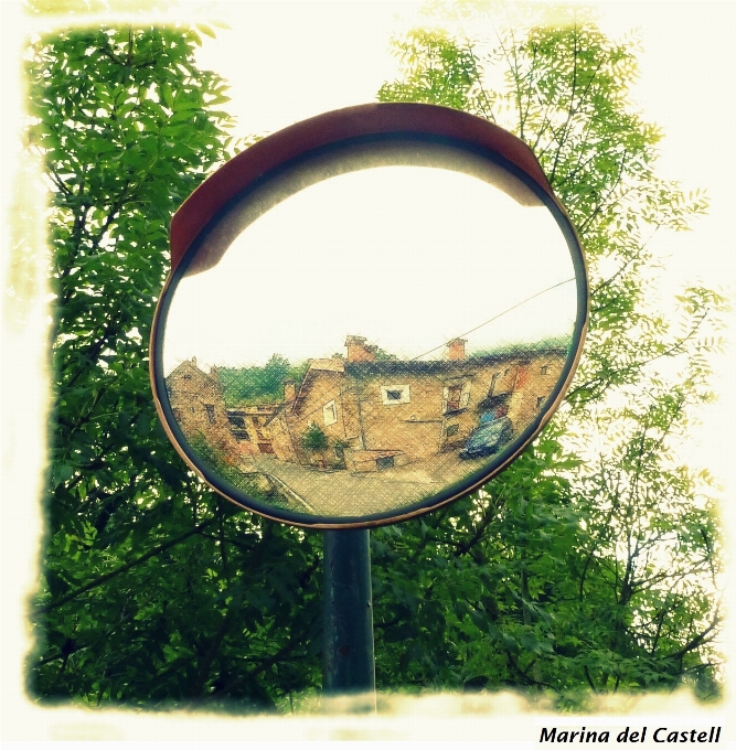 Arbre voiture loger fenêtre