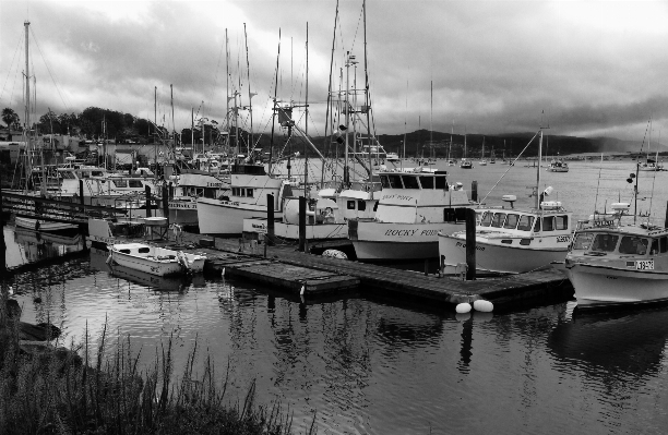 Foto Mare dock bianco e nero
 barca