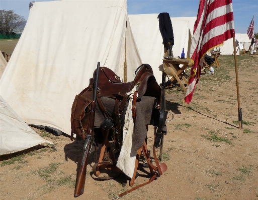 Foto Veicolo cavallo docentjoyce
 storiadelle guerre americane
