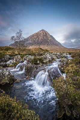 Landscape tree water nature Photo