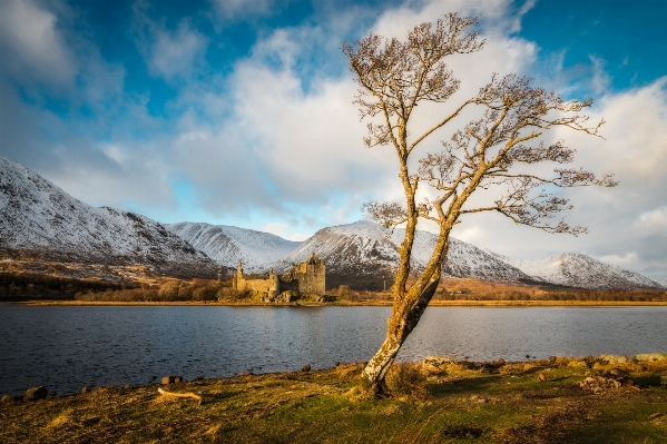 Landscape sea tree water Photo