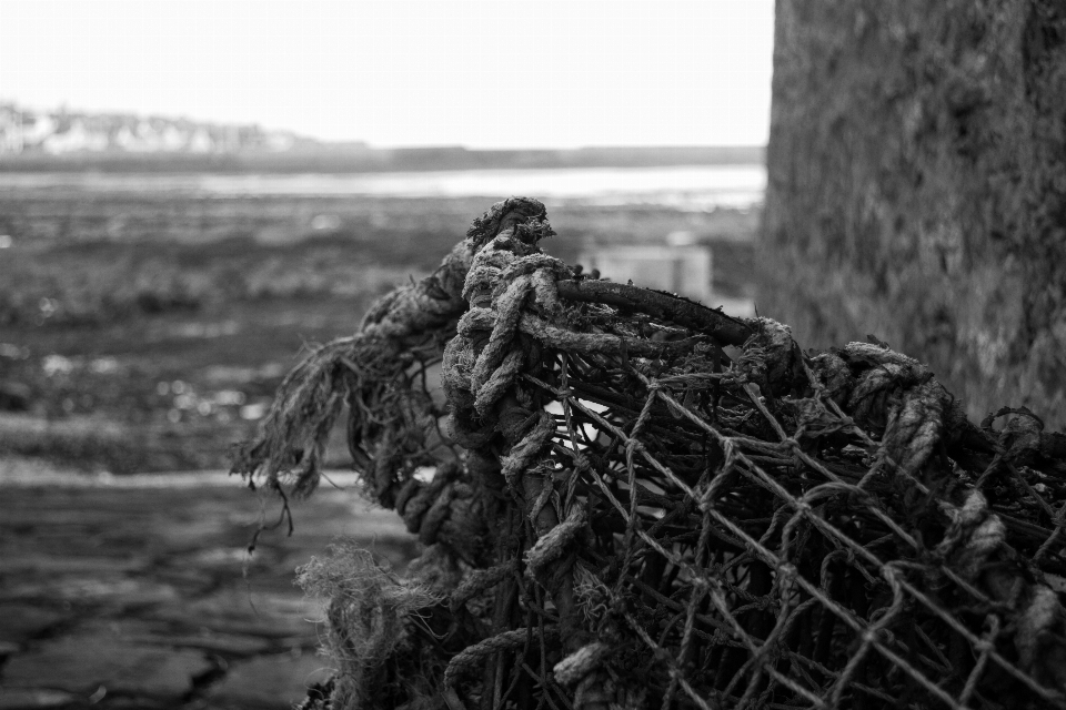 Mar en blanco y negro
 fotografía soldado