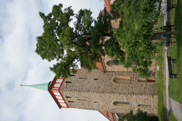 Foto Albero edificio chateau
 torre