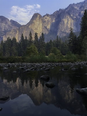 Landscape tree water nature Photo